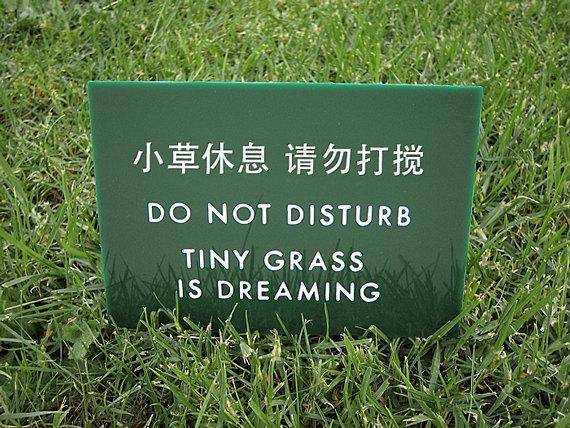 do not disturb, tiny grass is dreaming