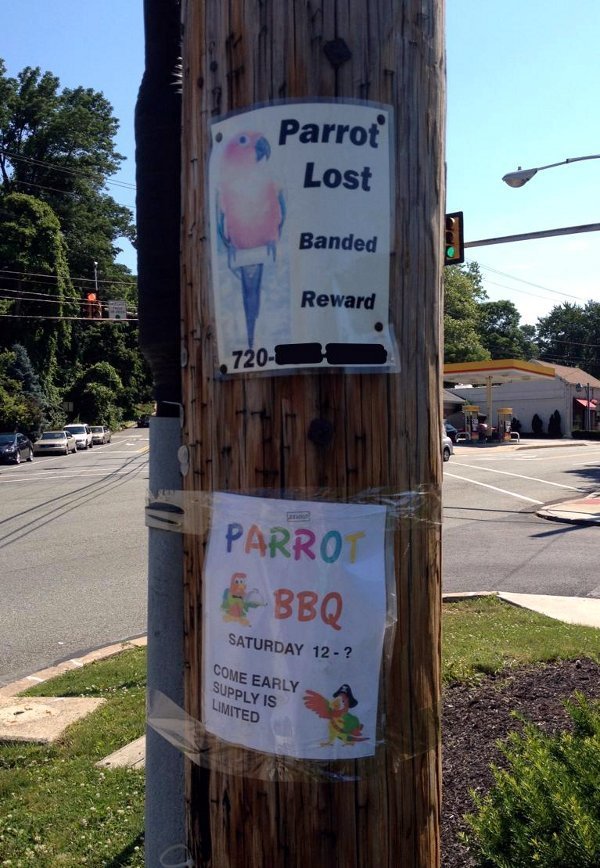 parrot lost banded reward, parrot bbq, come early supply is limited