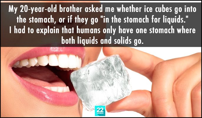 my 20 year old brother asked me whether ice cubes go into the stomach or if they do into the stomach for liquids, i had to explain that humans only have one stomach where both liquids and solids go, simple things i had to explain
