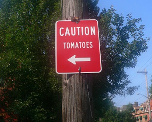 caution tomatoes