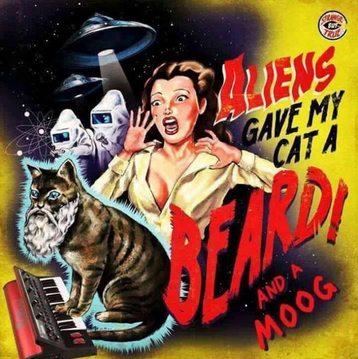 aliens gave my cat a beard and a moog, wtf