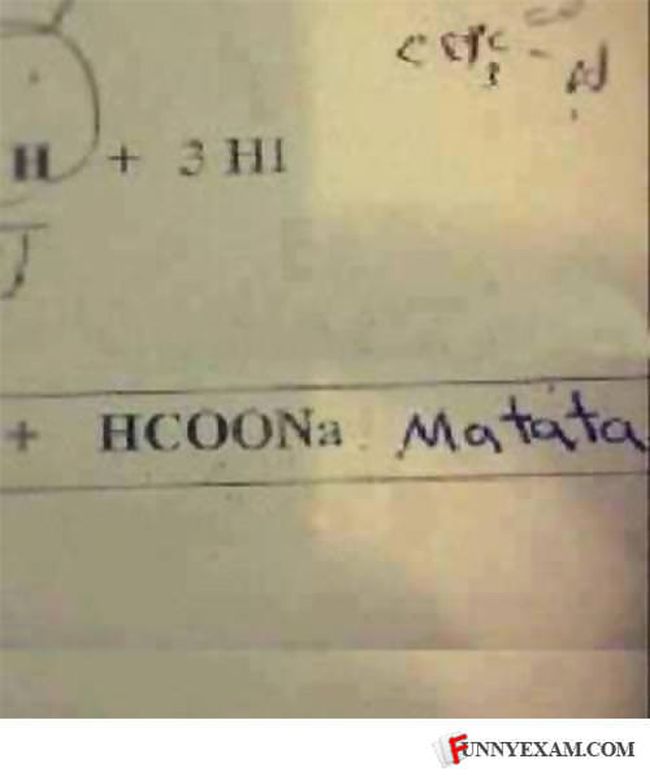 hcoona matata, chemistry is a great lesson