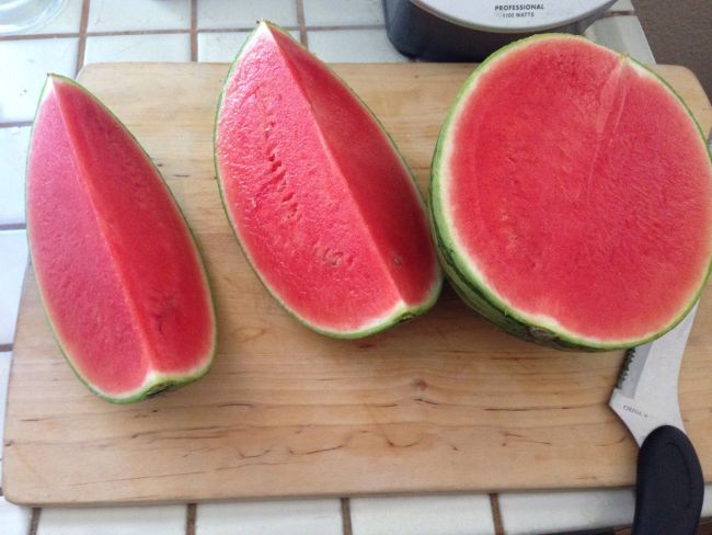 behold the perfect seedless watermelon