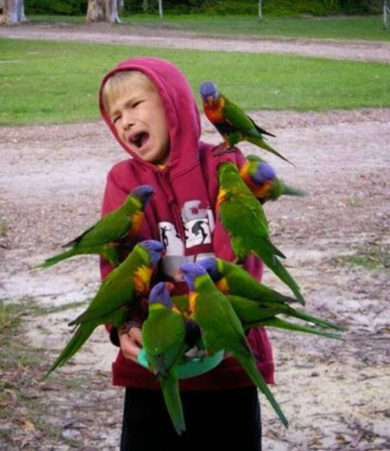 kid covered in parrots