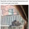 squirrels out here having threesomes and i can't even get a text back