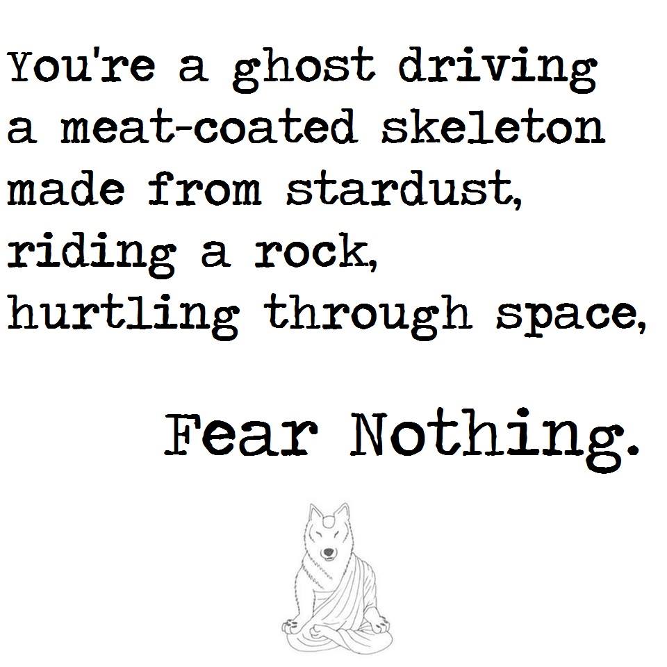 you're a ghost driving a meat-coated skeleton made from stardust, riding a rock hurtling through space, fear nothing