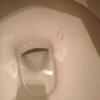 but why?, lipstick marks inside toilet bowl, wtf