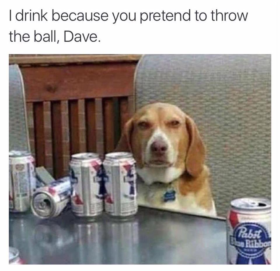 i drink because you pretend to throw the ball dave