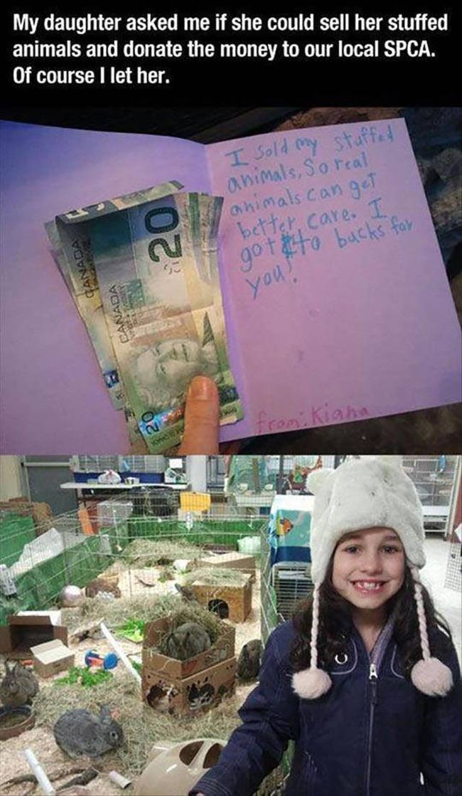 my daughter asked me if she could sell her stuffed animals and donate the money to our local spca, of course i let her