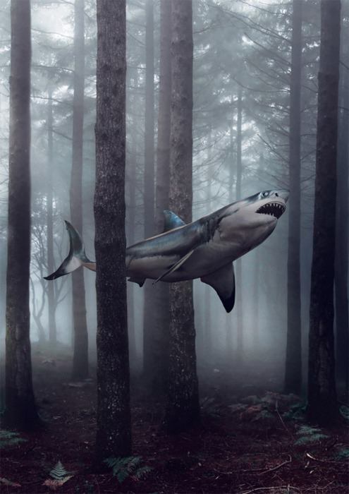 shark swimming through a forest of trees, art