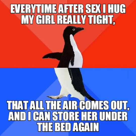 overtime after sex i hug my girl really tight, that all the air comes out and i can store her under the bed again, socially awkward penguin, meme