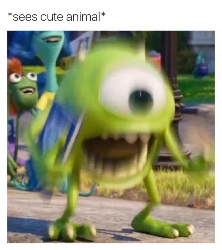 sees cute animals, monsters inc freaking out