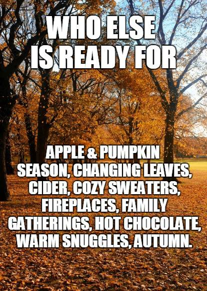 who else is ready for apple and pumpkin season, cider, cozy sweaters, fireplaces, family gatherings, hot chocolate, warn snuggles