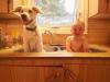 puppy and baby taking a bath in the tub