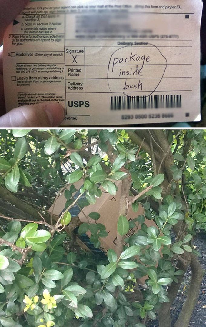 package inside bush, delivery fail