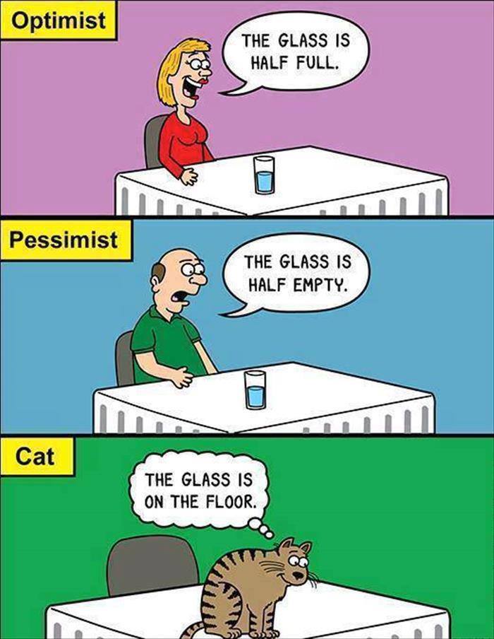 the glass is half full, optimist, the glass is half empty, pessimist, the glass is on the floor, cat