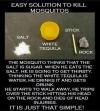 easy solution to kill mosquitos with salt, tequila, a match stick and a rock