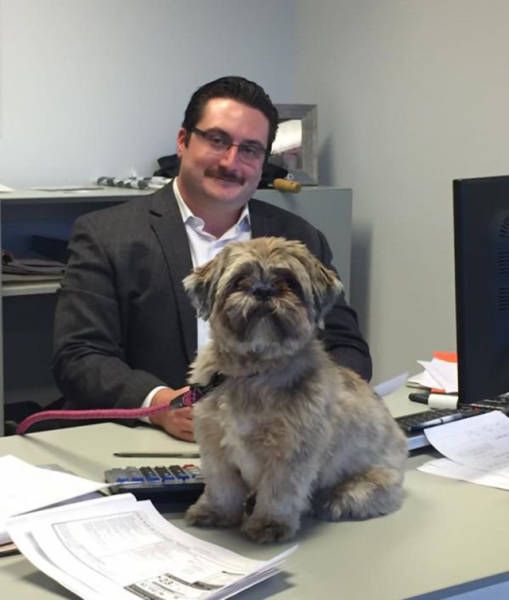 creepy moustache guy brings dog to work