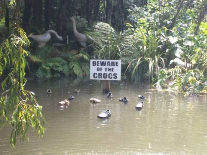 beware of the crocs