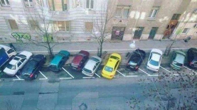people are sheep, everyone parks the wrong way