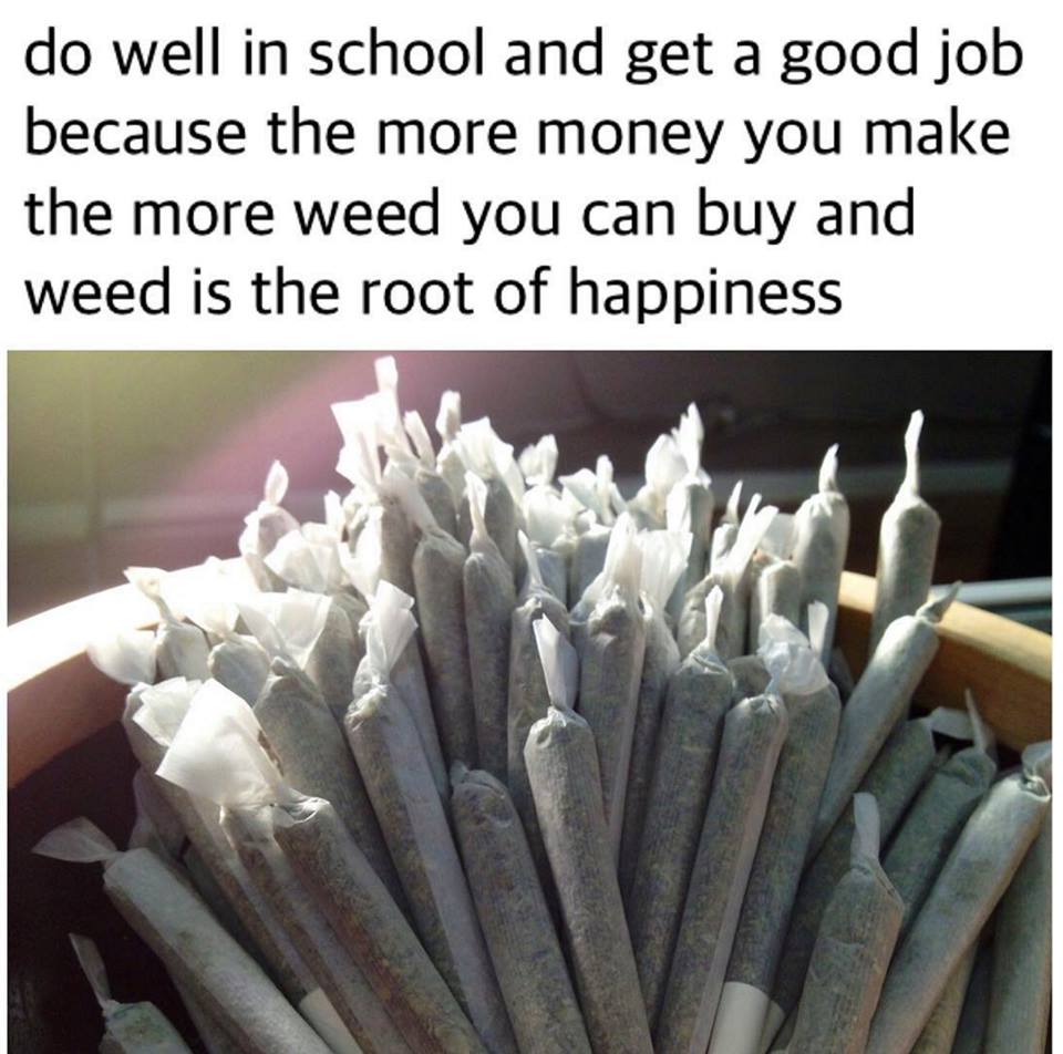 do well in school and get a good job because the more money you make the more weed you can buy and weed is the root of happiness