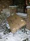 book tossed into plants and snow, delivery fail