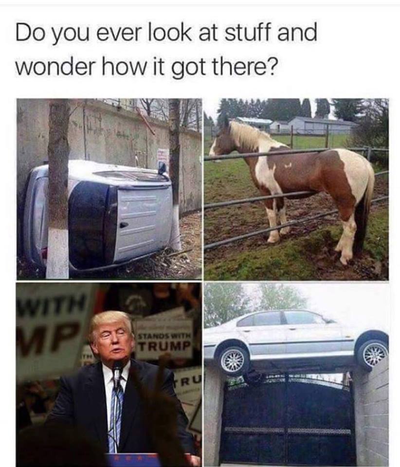 do you ever look at stuff and wonder how it got there?
