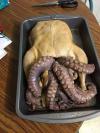 turkey octopus