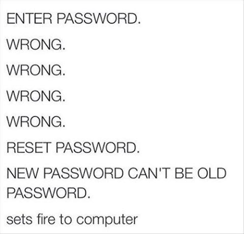 enter password, wrong, wrong, wrong, wrong, reset password, new password can't be old password, sets fire to computer