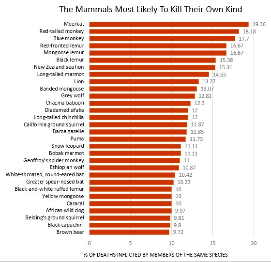 the mammals most likely to kill their own kind