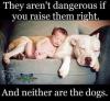 they aren't dangerous if you raise them right, and neither are the dogs
