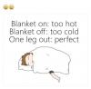 blanket on, too hot, blanket off, too cold, one leg out, perfect