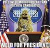 poll says weed more popular than all 2016 candidates, weed for president