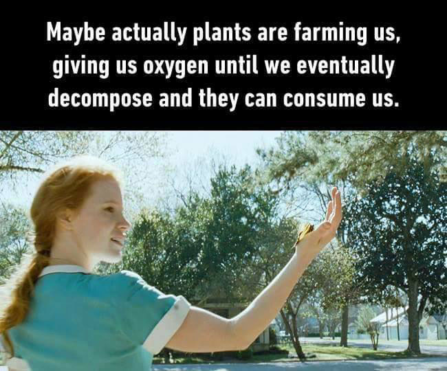 maybe actually plants are farming us, giving us oxygen until we eventually decompose and they can consume us