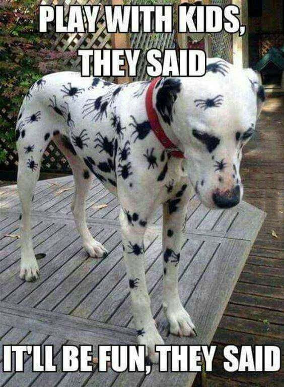 play with the kids they said, it'll be fun they said, spider on a dalmation