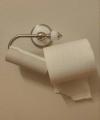 the impossible toilet paper roll balancing act