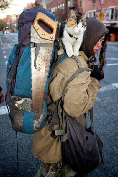 homeless person with super clean cat