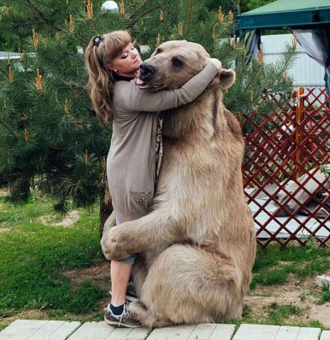 this is a real bear hug