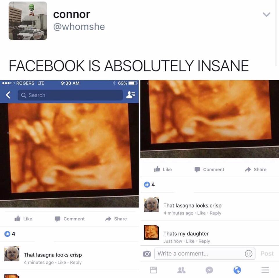 facebook is absolutely insane, that lasagna looks crisp, that's my daughter