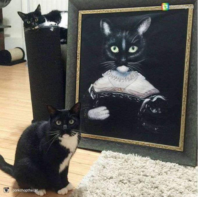 cats and their paintings