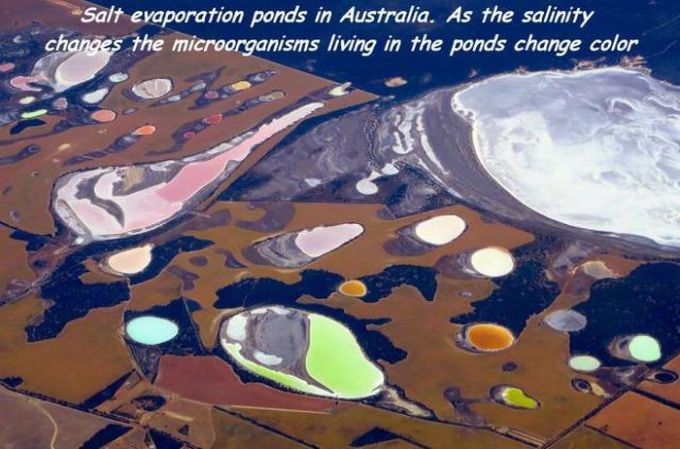 salt evaporation ponds in australia, as the salinity changes the microorganisms living in the ponds change color