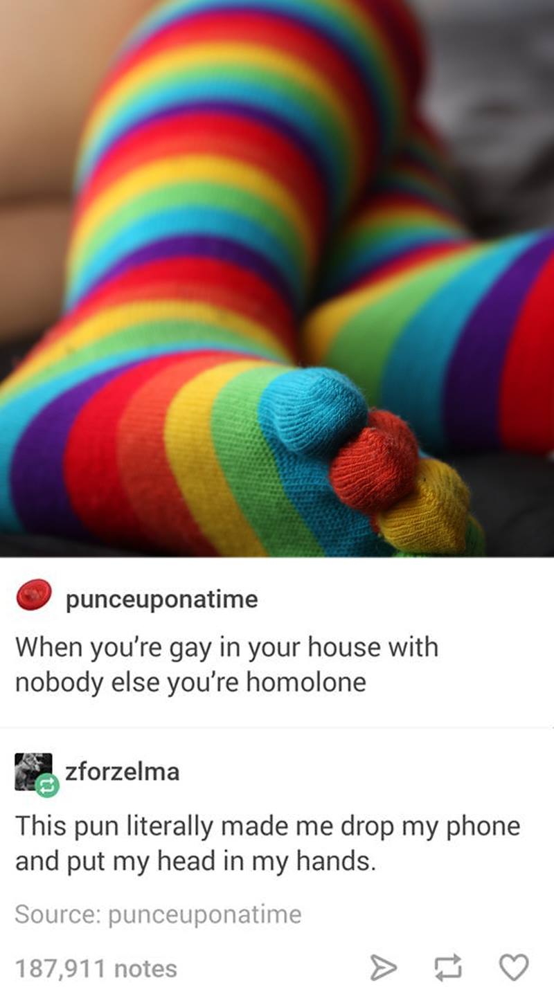 when you're gay in your house with nobody else you're homolone