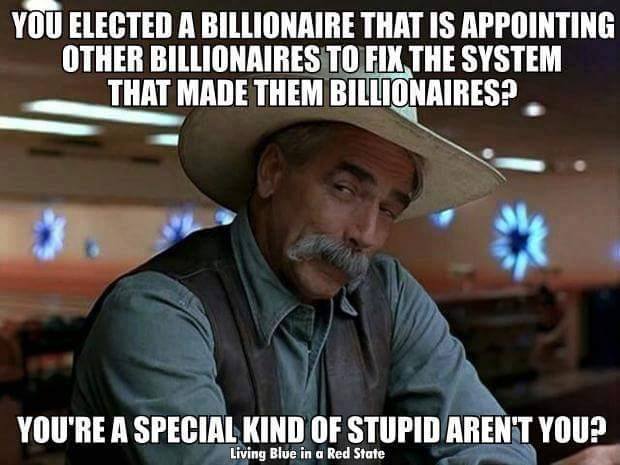 you elected a billionaire that is appointing other billionaires to fix the system that made them billionaires?, you're a special kind of stupid aren't you?, meme