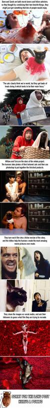 a man recreates movie scenes with his cat, lol