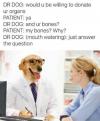 dr dog, would u be willing to donate your organs, ya, and ur bones, my bones, why?, just answer the question