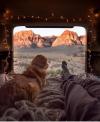 what vacation should look like, view of mountains from back of truck with dog