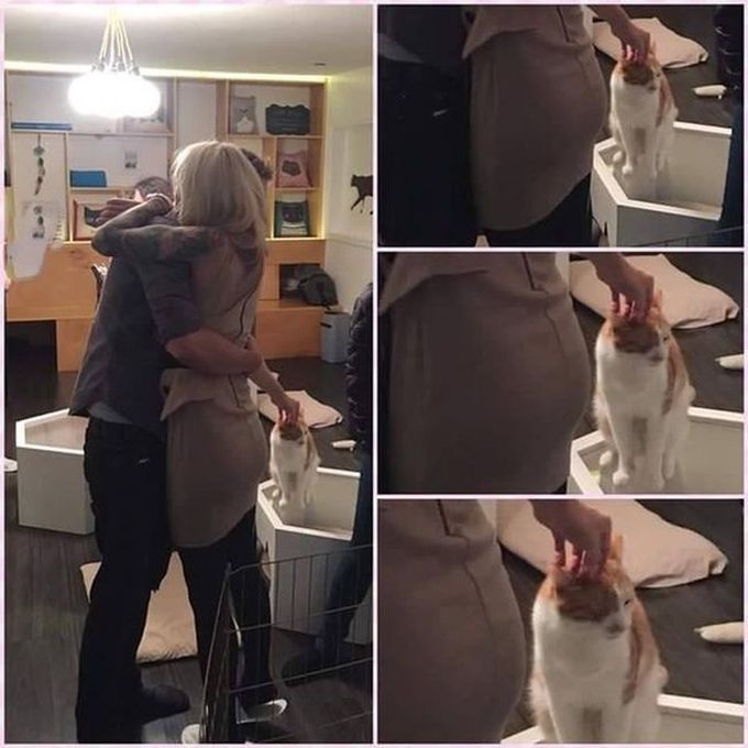 when you have a girlfriend but still love your cat