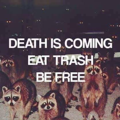 death is coming, eat trash, be free