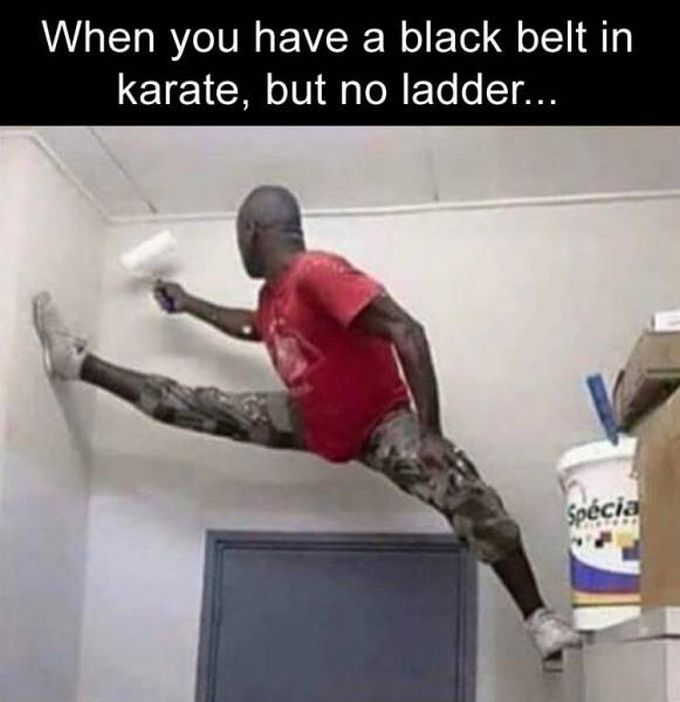 when you have a black belt in karate but no ladder