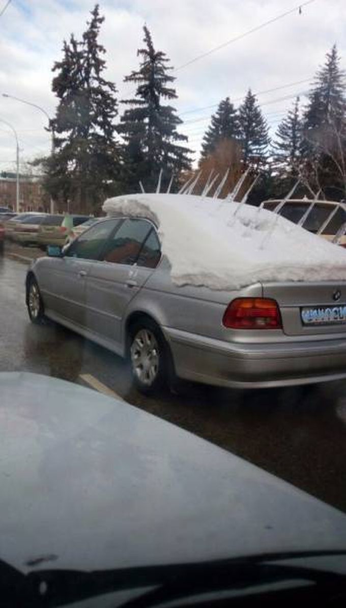 mohawk car snow hair